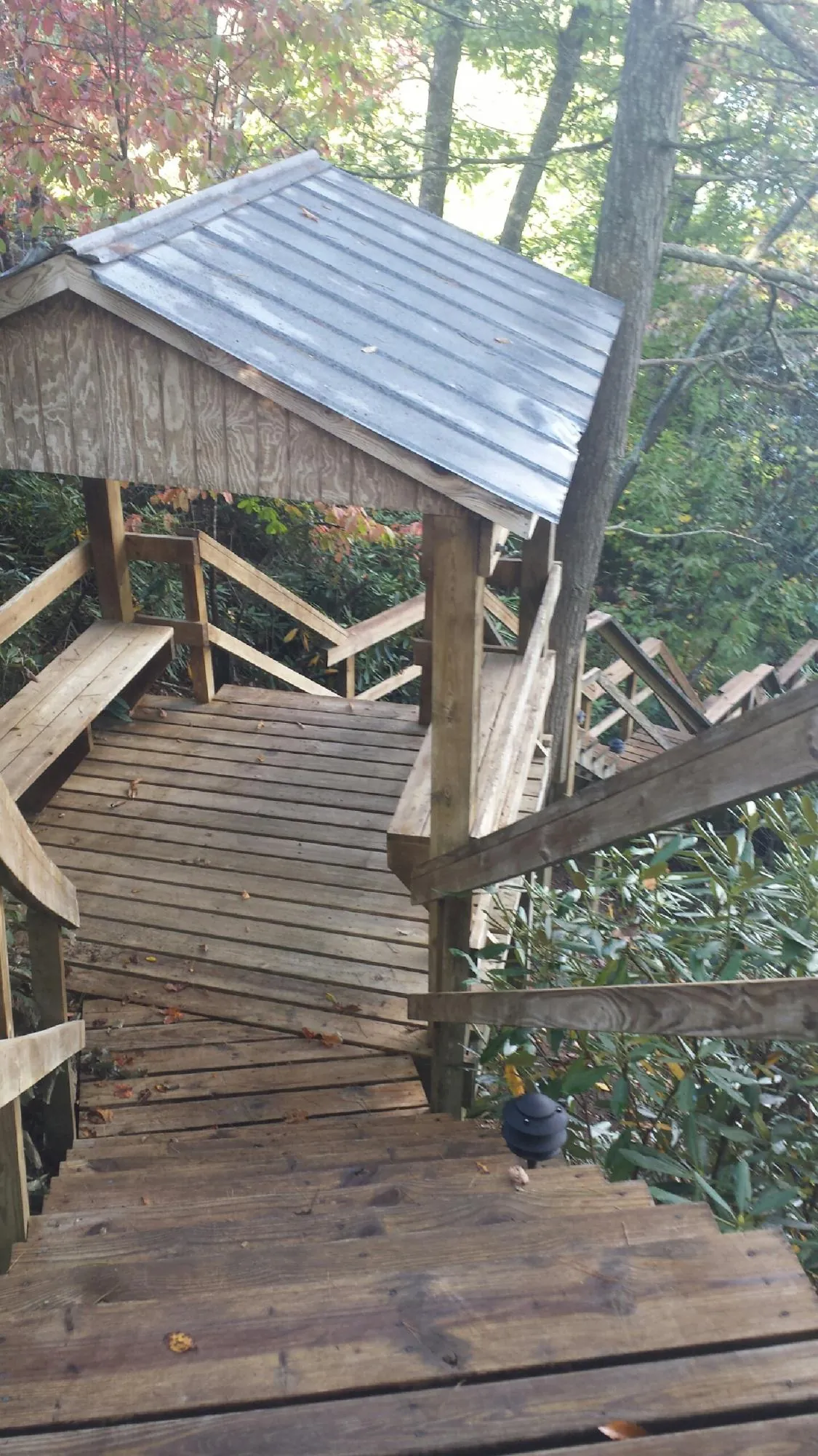 Metal roofed shelter over wooden steps on a wooded walkway — Skylight Repair & Installation work by our crew in Pineland