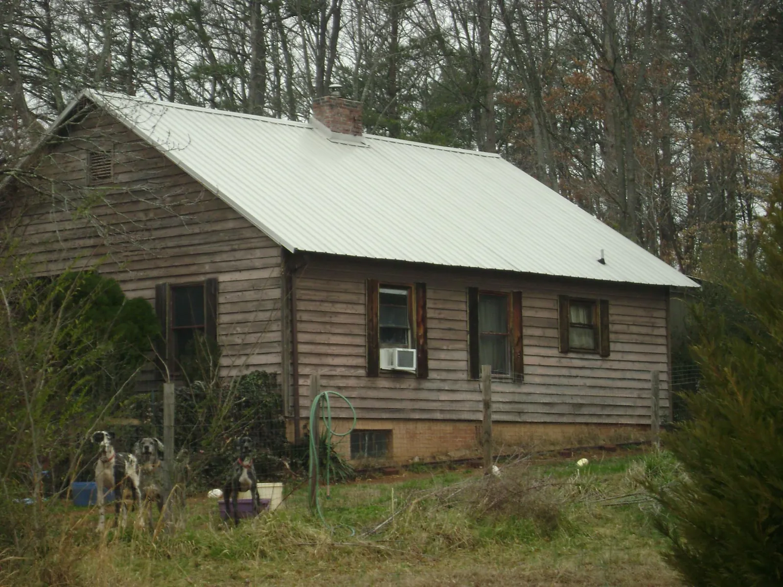 White metal roof on an old wood sided farmhouse, from a Metal Roof Installation job in Pineland